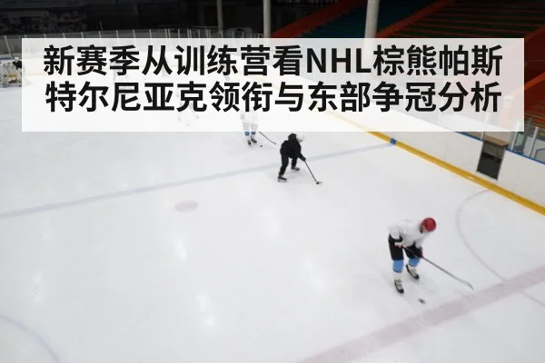 新赛季从训练营看NHL棕熊帕斯特尔尼亚克领衔与东部争冠分析