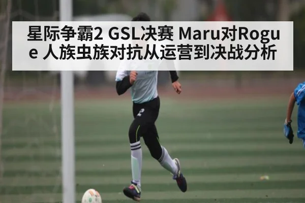 星际争霸2 GSL决赛 Maru对Rogue 人族虫族对抗从运营到决战分析